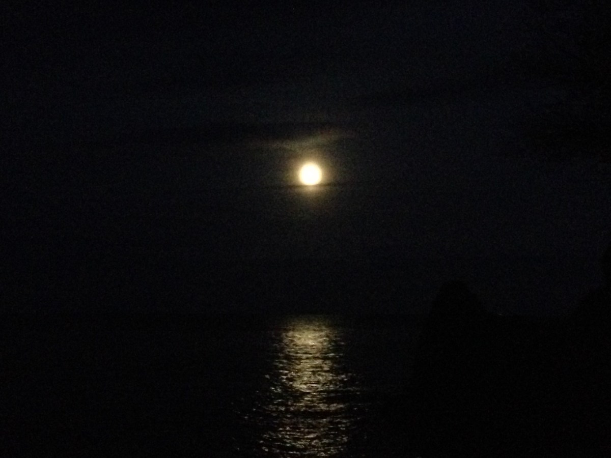 Super-moon Sea Swim