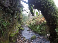 DCIM652GOPROGOPR5511.