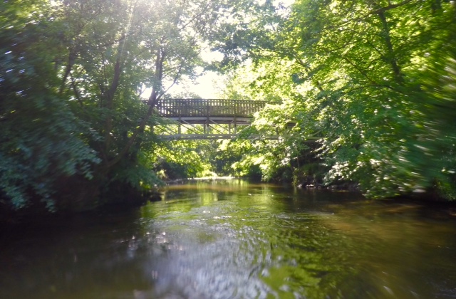 DCIM100GOPROGOPR7690.