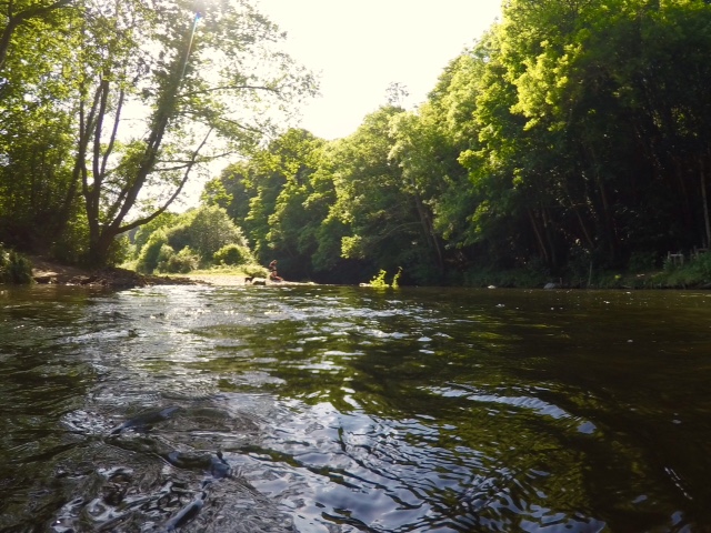 DCIM100GOPROGOPR7694.